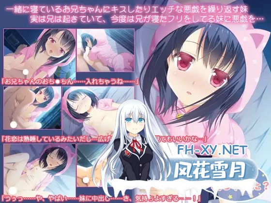 [ADV/AI汉化/萝莉/骨科][RJ184864/BABEL社团]哥哥睡着了吗/お兄ちゃん寝ちゃった[PC/300M]-4.jpg