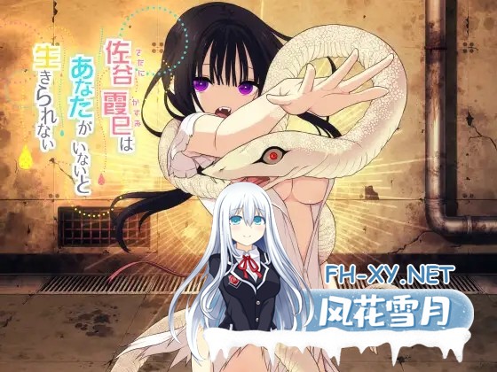 [RPG/机翻+AI文本/巨乳/同居/羞耻/更新][RJ01034061/三代錆社团]佐谷霞巳没有你就活不下去/佐谷霞巳はあなたがいないと生きられない[Ver1.10][PC/1.4G]-2.jpg