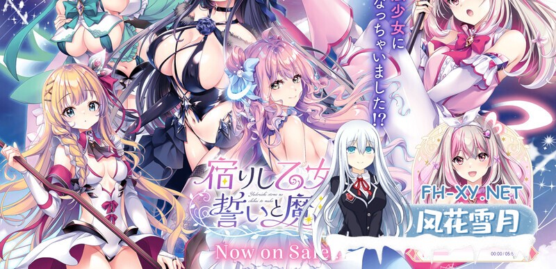 [ADV/精翻汉化/巨乳/触手/自慰]寄宿少女的誓约与魔法/宿りし乙女の誓いと魔法[Ver1.0.1+特典][PC/4.8G]-3.jpg