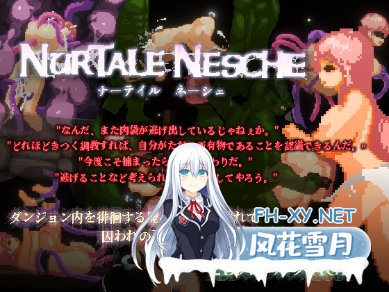[动作ACT/官中/动态]纳泰尔・奈舍（ナーテイル・ネーシェ）v1.0.4.12b官方中文版[PC/1.4G]-1.jpg
