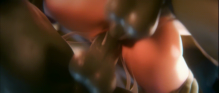 9.gif