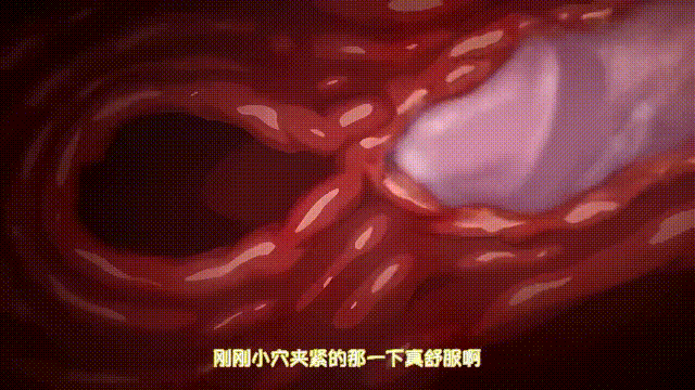 2 (4).gif