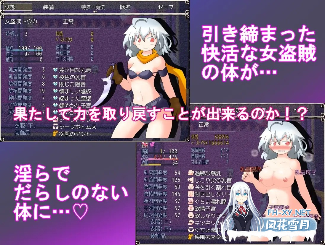 [ARPG/机翻+AI文本/冷门佳作/异种X/机械X/潮吹][RJ416123/ぬるぬる古井戸社团]淫疼七宝[Ver2.01+自带全回想][PC/1.4G]-8.jpg