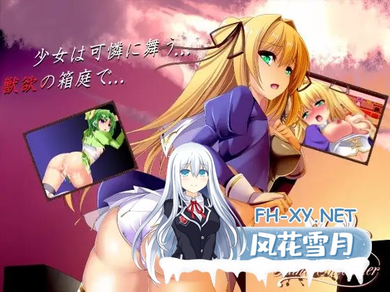 [RPG/DL官中/异种X/怀孕/强X][RJ146155/B.H.C社团]最后的圣骑士/Le dernier saint chevalier[Ver1.2][PC/560M]-1.jpg