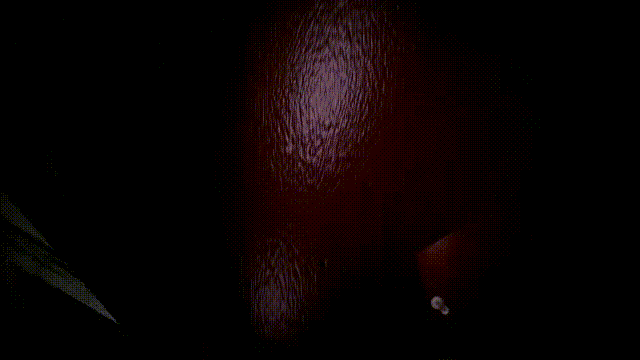 2556 (11).gif