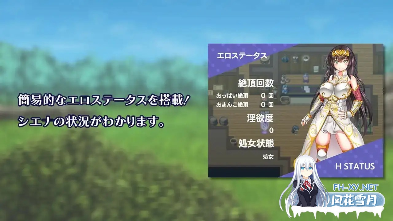 [RPG/官中/步兵/异种X/手交/中出/强X/巨乳][RJ305694/アイオライト社团]冒险者雪娜/冒険者シエナ[Verov1.0.0][PC/690M]-5.jpg