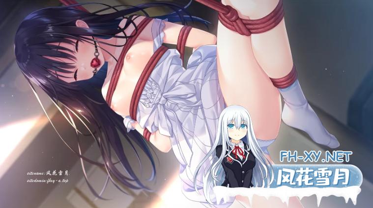 QQ_1772530970000.png