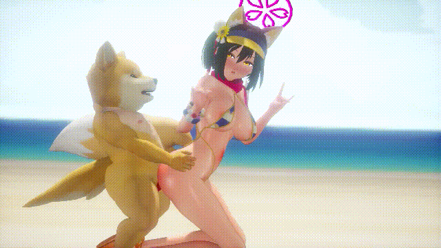 2603 (2).gif