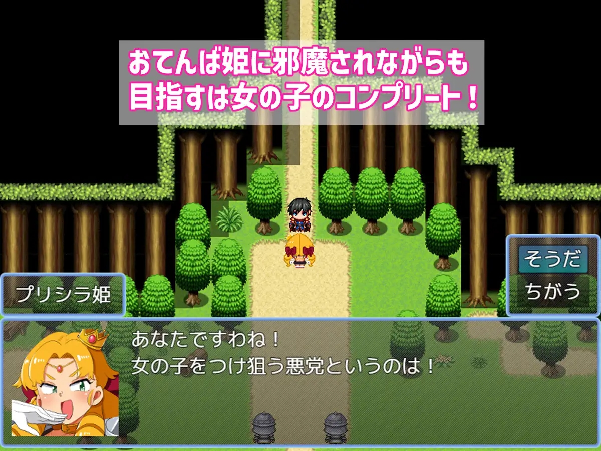 [PC][新作RPG/AI汉化/侵犯/2D]战斗胜利即色色～战斗H RPG～/バトルに勝ったら即エッチ～バトルファックRPG～ [1023MB]-5.jpg