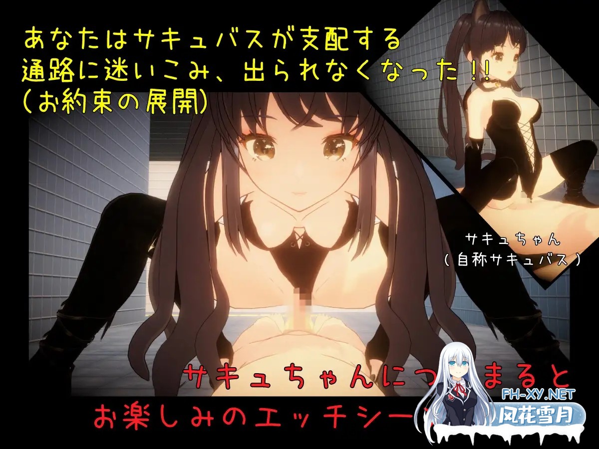 [3D互动/魅魔/露出/全动态/谷歌机翻/巨乳][RJ01254924/しゅがーとみーと社团]绝不会让你逃离的地铁出口/絶対にエッチさせられるメトロ出口[PC/1.40G]-1.jpg