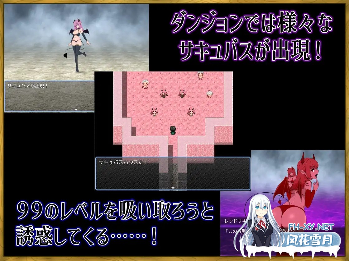[日系RPG/官中/奇幻/PC]LV99作弊勇者的我怎么可能会输给魅魔之流 LV99チート勇者の俺がサキュバスなんかに敗けるわけない Mtool汉化版[1.20G]-4.jpg