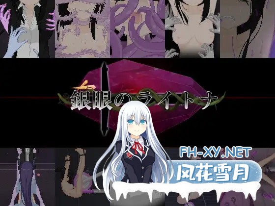 [RPG/动态/官中]銀眼のライトナ  官方中文版[PC/2.4G]-1.jpg