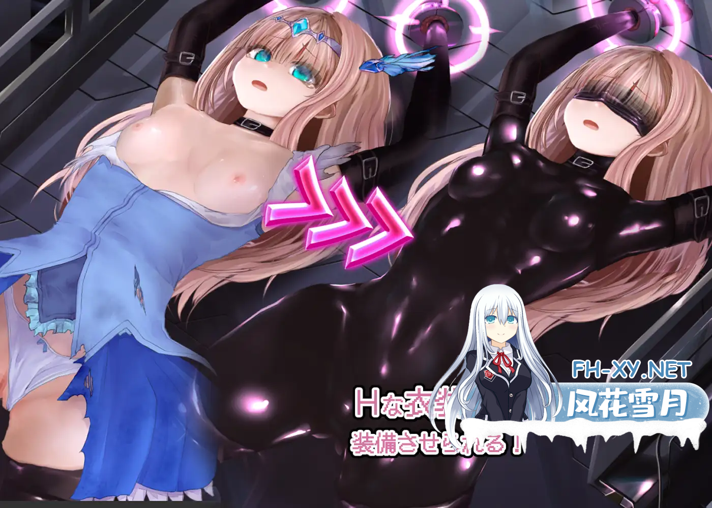 9SV67ZJCOH0C317W.png
