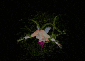 6967a2acb2f562.05855566.gif