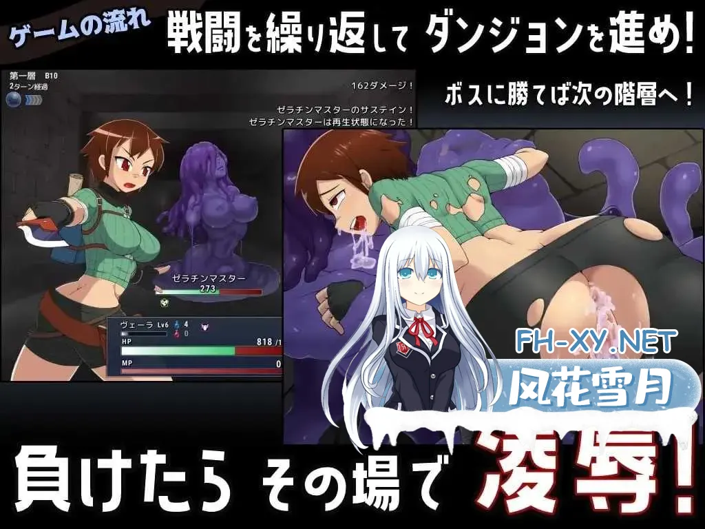 image6be2236a7717de56.webp