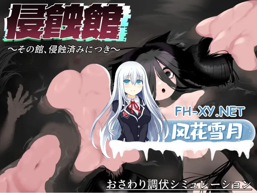 image1084988f01684b62.webp
