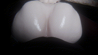 imagedd7413037c4961c8.gif