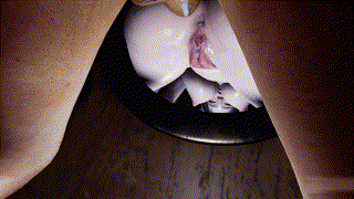 image58122e4d8ebf47e4.gif