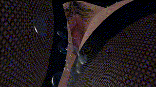 image-24.gif