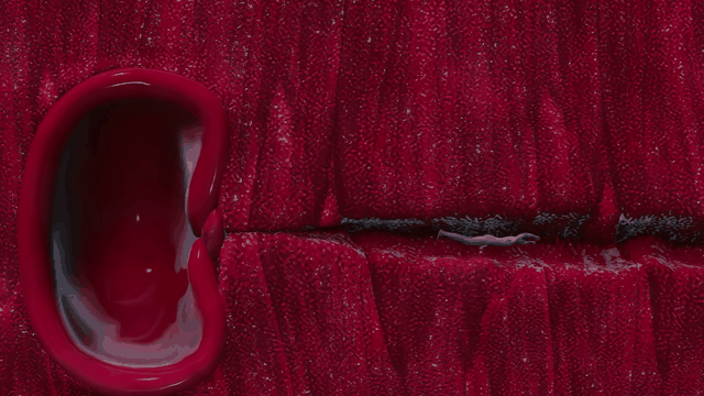 imageff3989f36a2a7b2c.gif