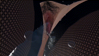 imageeacde1f203e8daef.gif